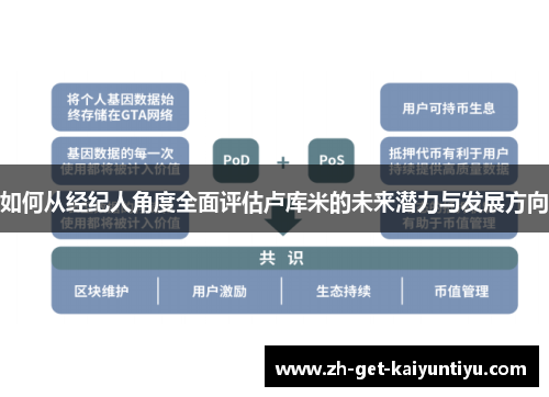 如何从经纪人角度全面评估卢库米的未来潜力与发展方向 如何从经纪人角度全面评估卢库米的未来潜力与发展方向