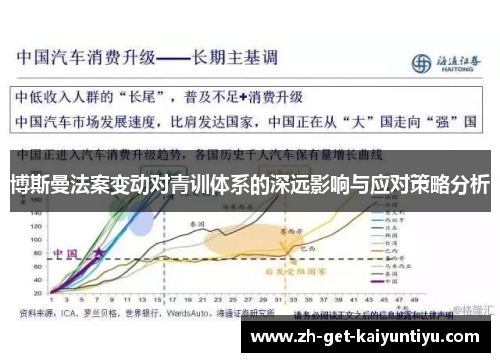 博斯曼法案变动对青训体系的深远影响与应对策略分析 博斯曼法案变动对青训体系的深远影响与应对策略分析
