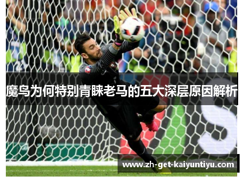 魔鸟为何特别青睐老马的五大深层原因解析 魔鸟为何特别青睐老马的五大深层原因解析