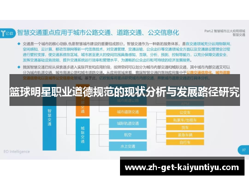 篮球明星职业道德规范的现状分析与发展路径研究