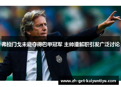 弗拉门戈未能夺得巴甲冠军 主帅遭解职引发广泛讨论 弗拉门戈未能夺得巴甲冠军 主帅遭解职引发广泛讨论