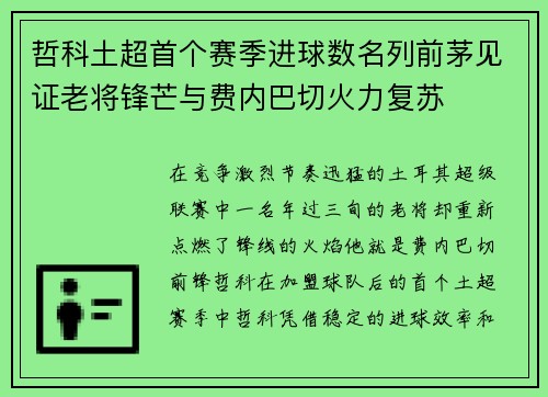 哲科土超首个赛季进球数名列前茅见证老将锋芒与费内巴切火力复苏 哲科土超首个赛季进球数名列前茅见证老将锋芒与费内巴切火力复苏
